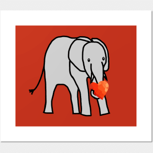 Baby Elephant with Love Heart on Valentines Day Posters and Art